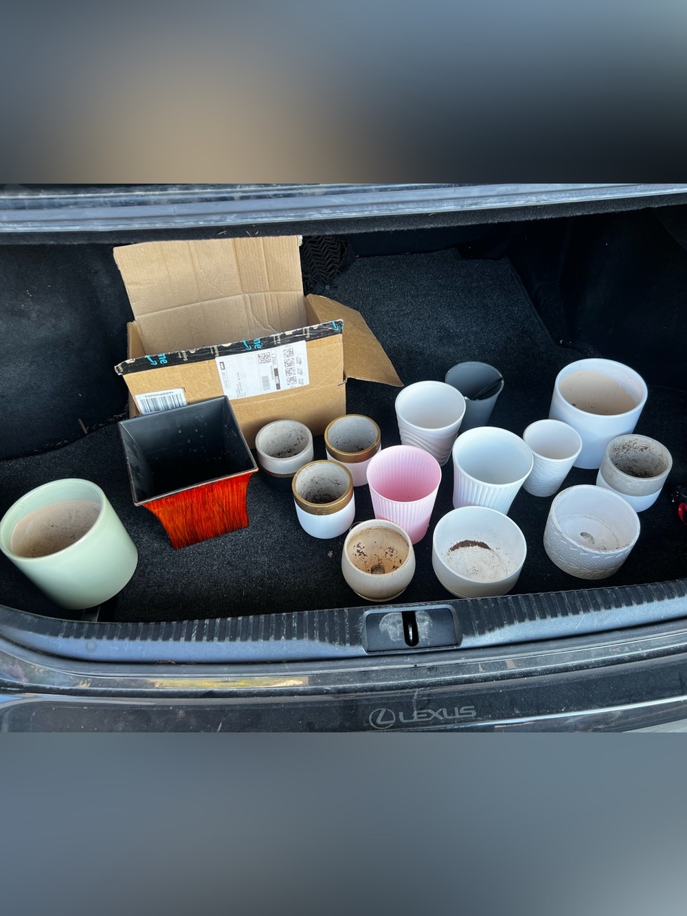 Assorted Ceramic Planters in Pink, White, Green, Cream, Black